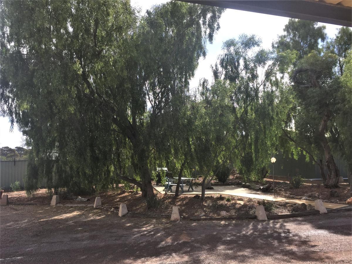 Ceduna Motor Inn Dış mekan fotoğraf