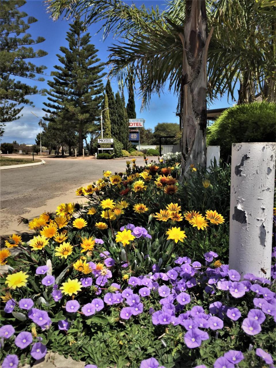 Ceduna Motor Inn Dış mekan fotoğraf